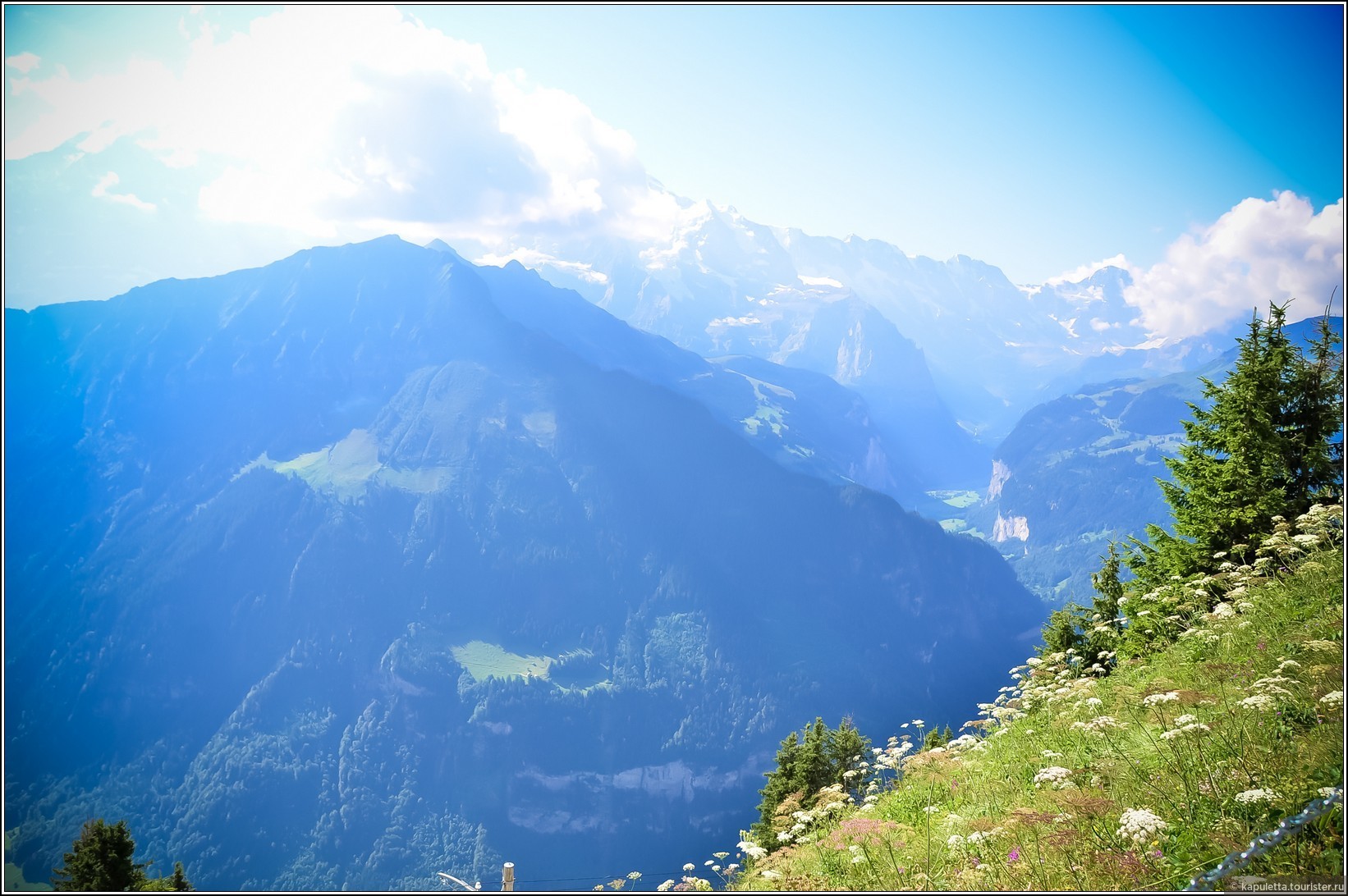 Schynige Platte (Wilderswil)